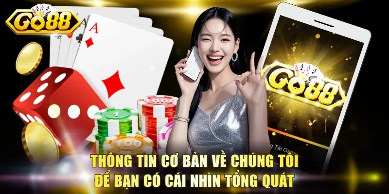 Thông tin cơ bản về chúng tôi để bạn có cái nhìn tổng quát